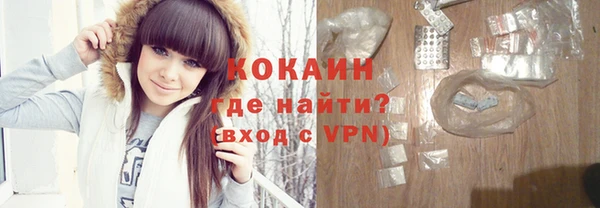 шишки Нея