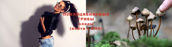 герыч Новокубанск