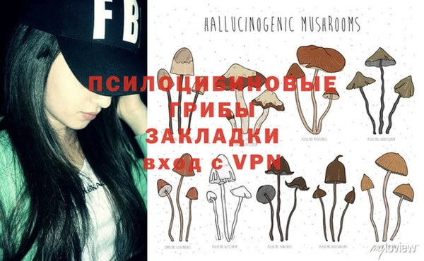 дурь Новозыбков