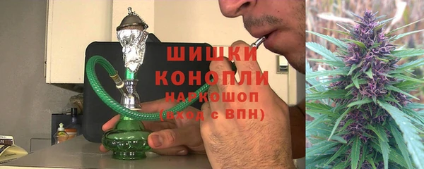шишки Нея